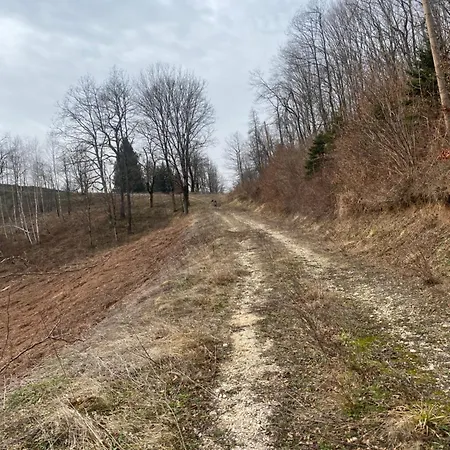 Priroda I Drustvo * Bosanska Krupa