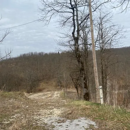 Priroda I Drustvo Daire *